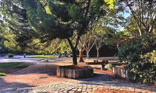 Travaux parc de bonneveine