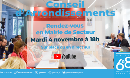 Conseil d'arrondissements