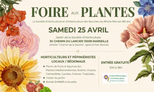 marché aux plantes