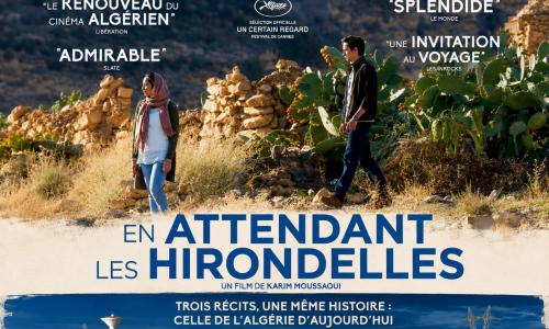hirondelles