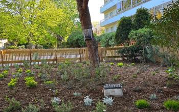 Jardin des Goumiers 2
