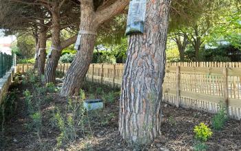 Jardin des Goumiers 4