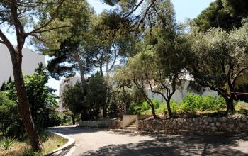 parc des soeurs12