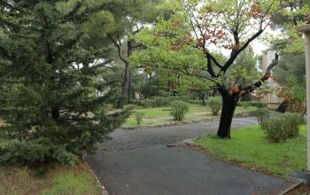 parc des soeurs14