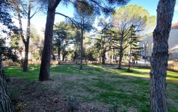 parc des soeurs6