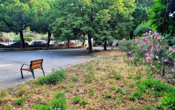 Jardin des goumiers