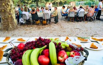 repas seniors pastré