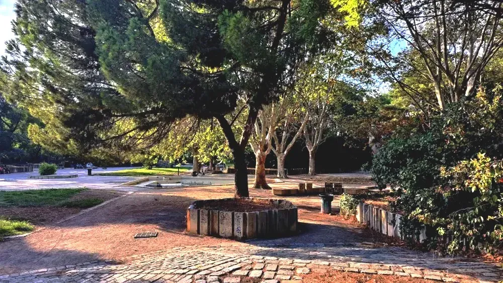 Travaux parc de bonneveine