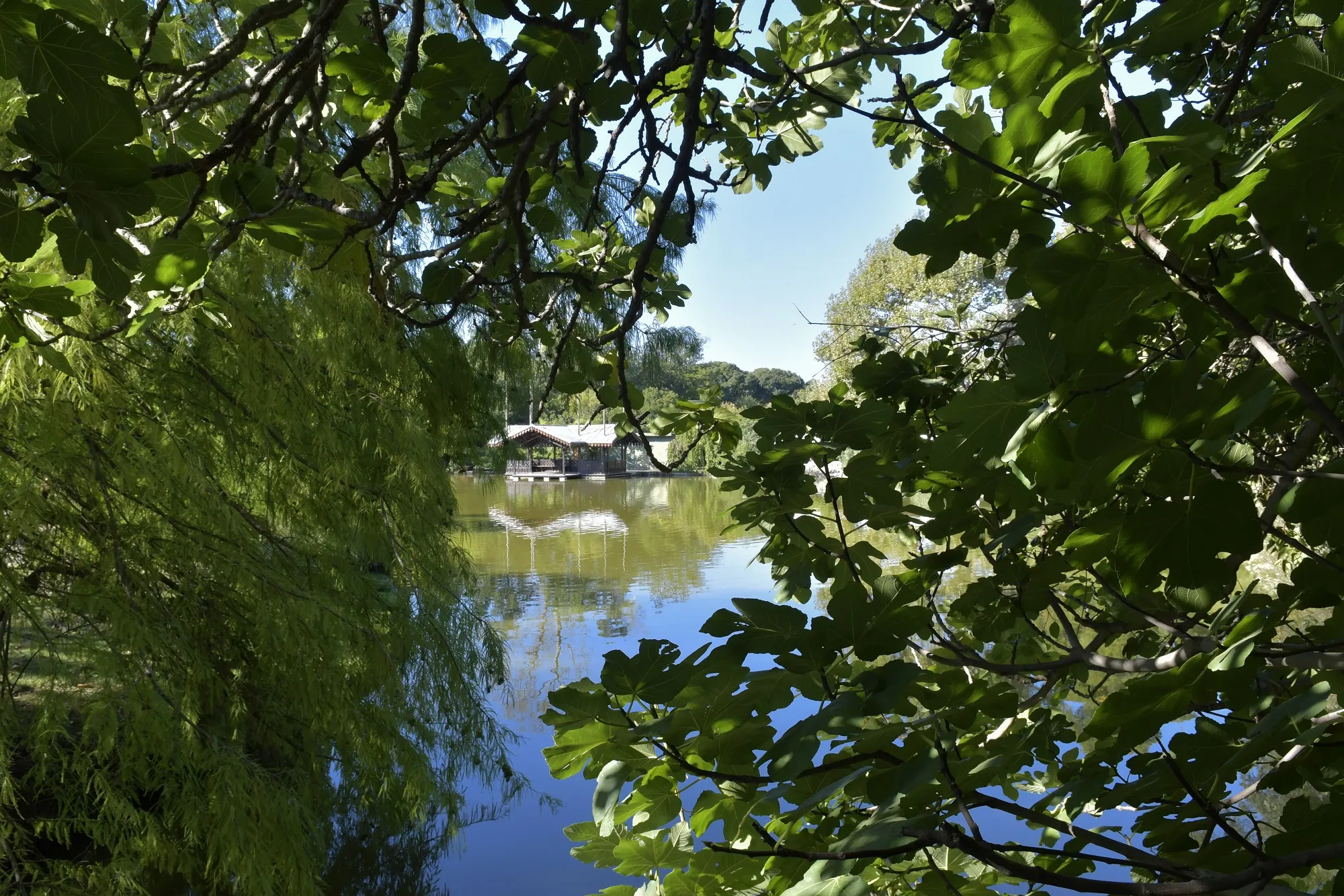 parc Borély